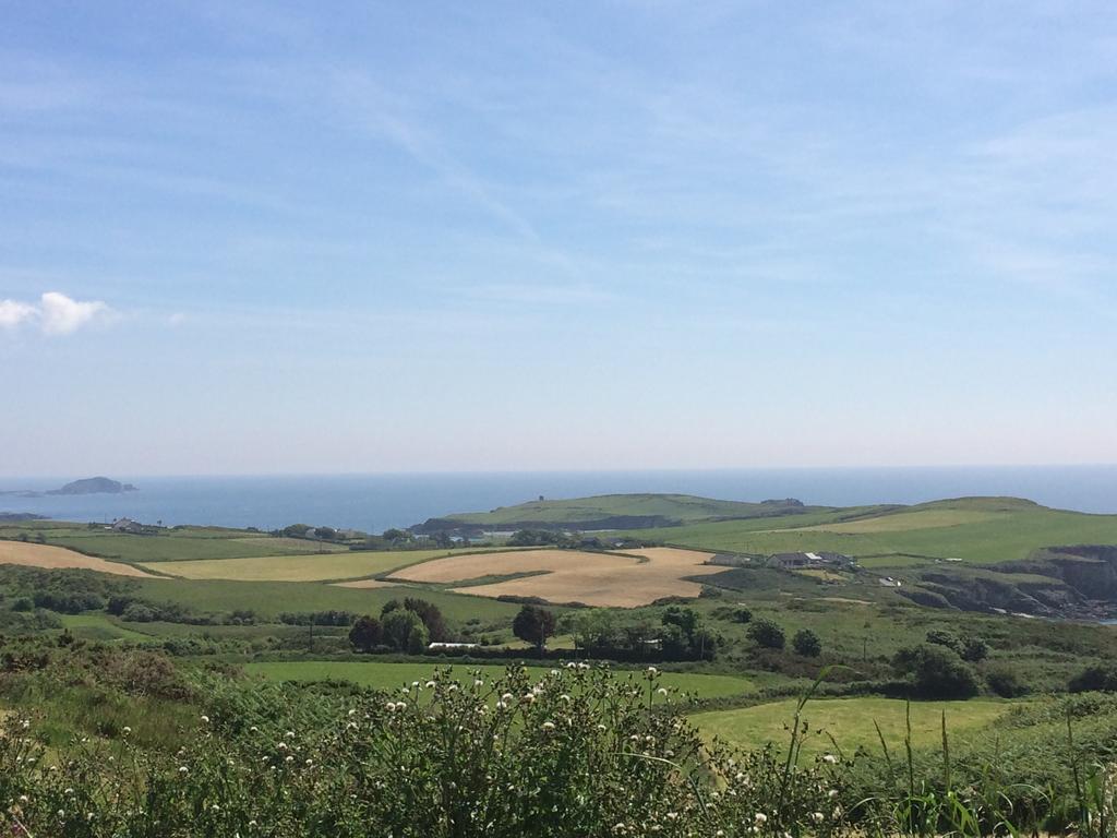 Sandycove House Bed & Breakfast Bed & Breakfast Castlehaven Exterior foto