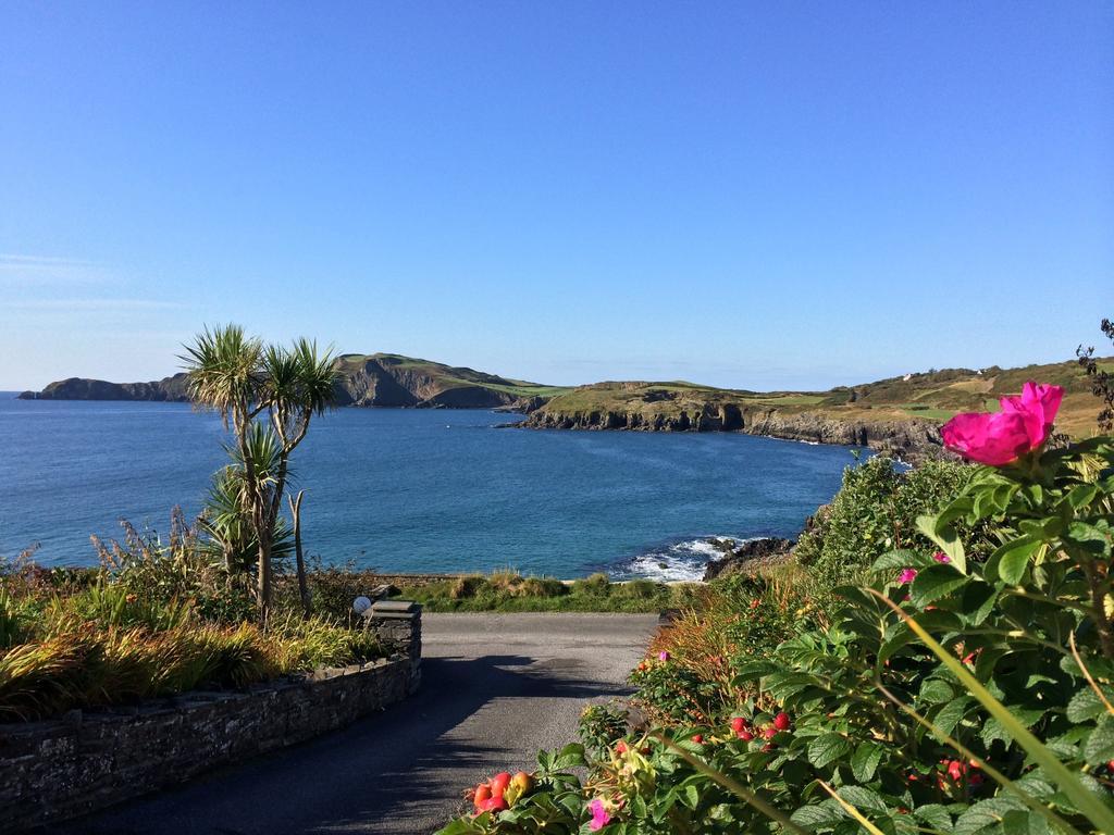 Sandycove House Bed & Breakfast Bed & Breakfast Castlehaven Cameră foto